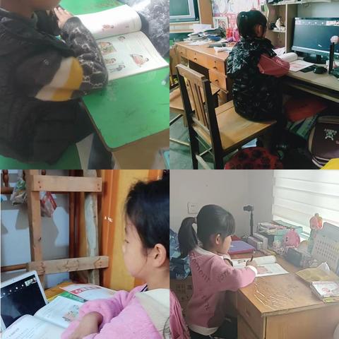 刘呈基小学第十周纪实