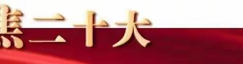 热烈庆祝党的二十大胜利召开