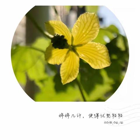 【深秋，惧思，已相思】