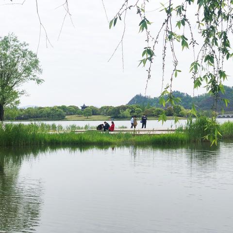 偷得浮生半日闲（灵湖印记）