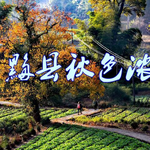 黟县秋色浓