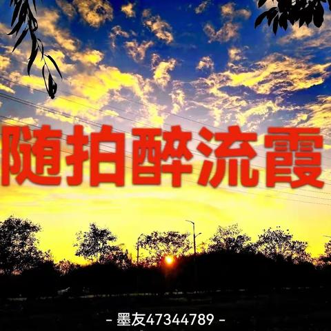 随拍醉流霞