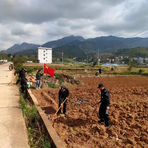 翠峰村开展田间卫生清洁整治活动