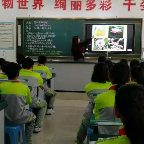 海城市初中生物学科中心教研组实验教学研讨会