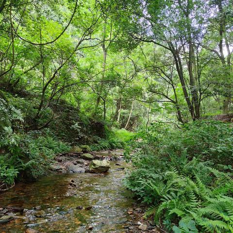 山野寻趣