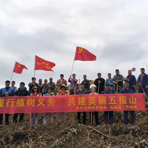 空联村委会履行植树义务 共建美丽五指山