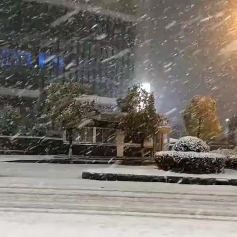 芽芽四班《打雪仗》