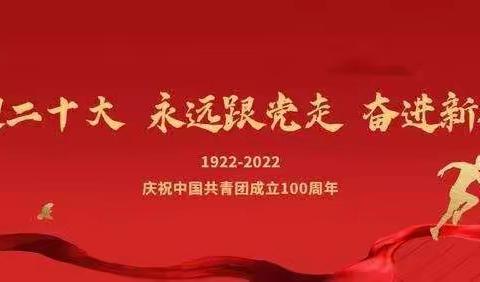 辛集市庆祝中国共产主义青年团成立100周年座谈会暨“两红两优”表彰会议召开