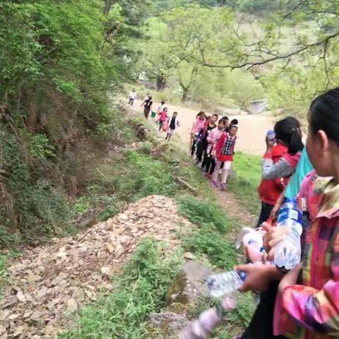 走，去野炊