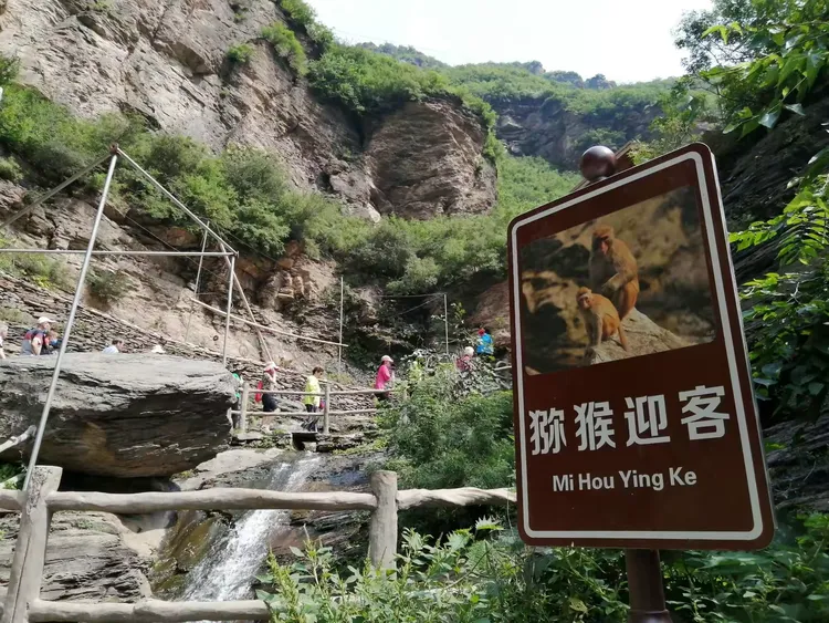 房山太平猕猴谷一游