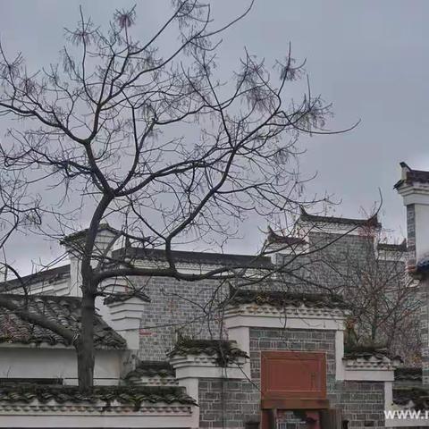 西湖李家……走进老市长李豆罗的家乡
