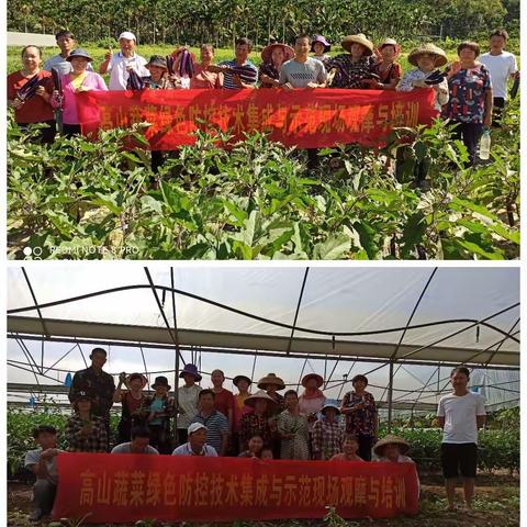 南圣镇红合村：开展高山蔬菜种植技术培训 助力乡村振兴