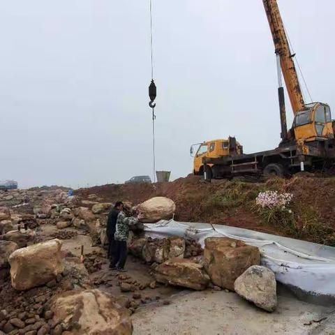 汝家庄隔离带“水长城”建设进展情况（169）