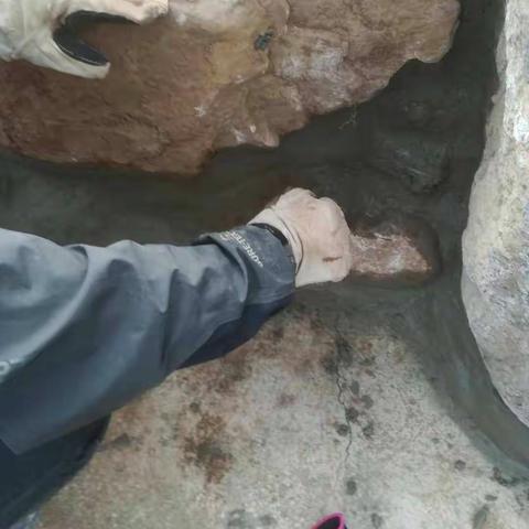 汝家庄隔离带“水长城”建设进展情况（177）