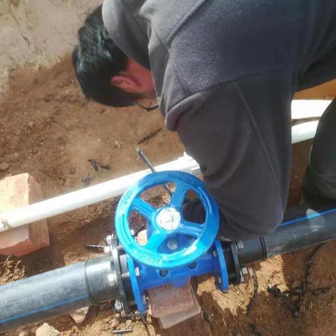 汝家庄隔离带“水长城”建设进展情况（181）