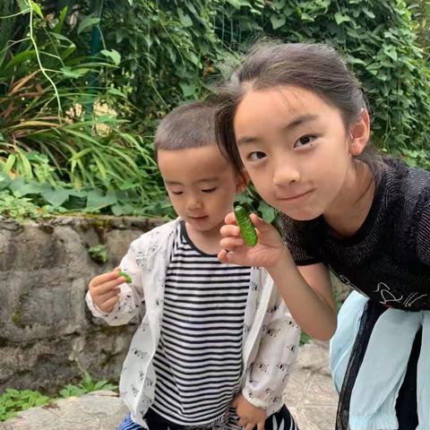 明瑞曦暑假社会实践