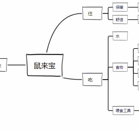 『🌈鼠来宝✨』——大一班班本课程