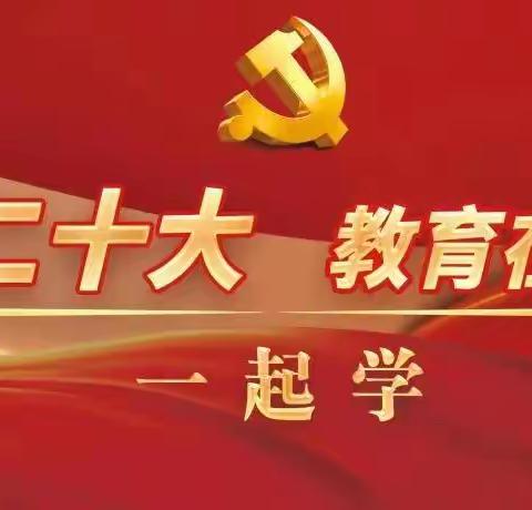 “学习二十大精神   永远跟党走  ”——九龙镇民安小学宣