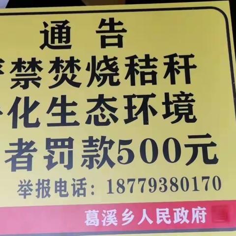 葛溪乡村民注意了，禁止野外焚烧秸秆，违者一律罚款500元，情节严重的，移交公安机关！