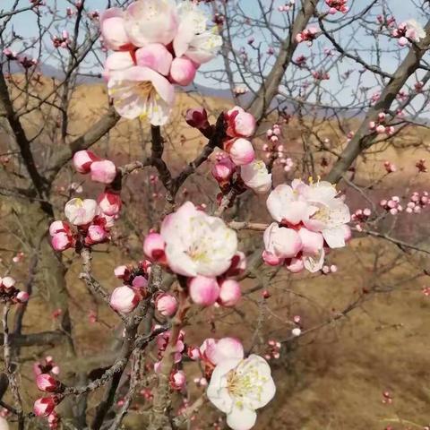 “情人节”里的故事