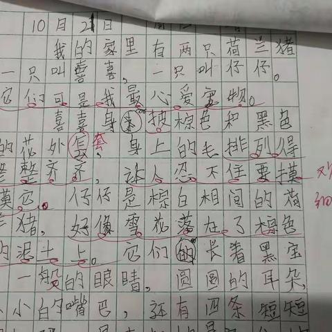 教师批阅作文的意义是什么