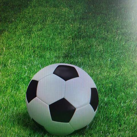 竞技绿茵，闪亮人生——涉县中小学生体育节石门区片足球联赛