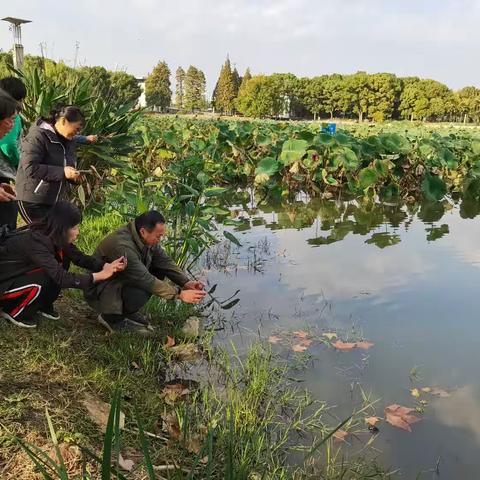 宜秀区老年大学摄影二班拍摄花絮（2023.11.16）