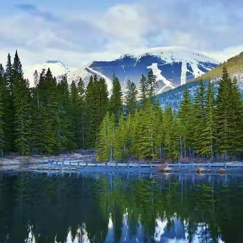 规范教学行为    提高个人素养