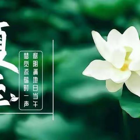 冬至饺子      夏至面