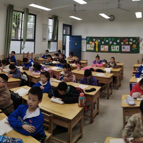 自然岭小学二年级课后反馈