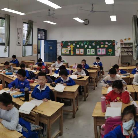 自然岭小学二年级课后反馈