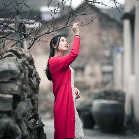 梅花三弄