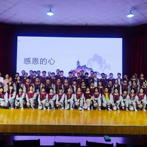 做个幸福的工具人
