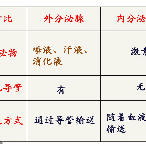 内分泌腺与外分泌腺