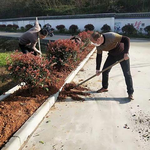 植树节，我们在行动