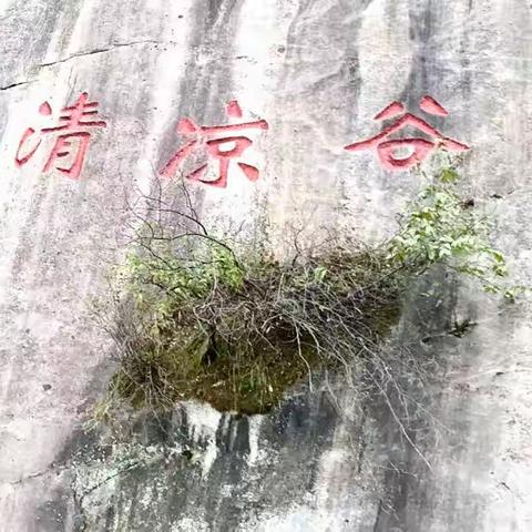 鬼斧神工的自然美景清凉谷