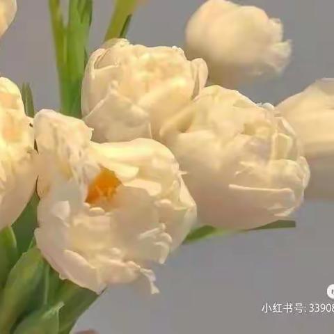 劳动成就梦想——芜湖高新区实验学校四年级一班陶雨欣暑期劳动生活