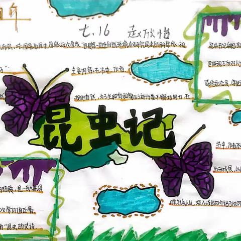初二语文组部分优秀手抄报展
