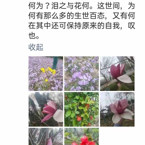 见花识文——德州市同济中学9.25-26习作展示