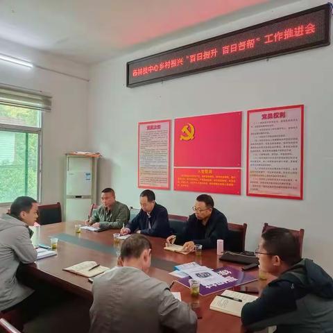 市林技中心支部书记施金铎到蓼坝村开展调研督导