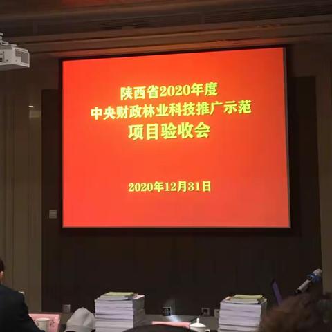 我市中央财政林业科技推广示范项目《安康紫仁核桃丰产栽培技术示范推广》顺利通过验收