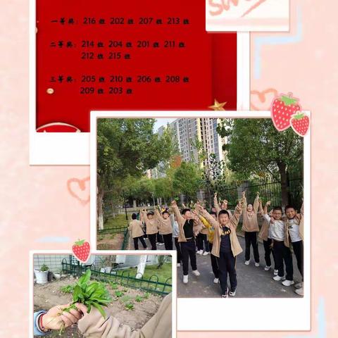 运动展风采，劳动乐无限 – 安师大附外城东校区207班运动会活动纪实