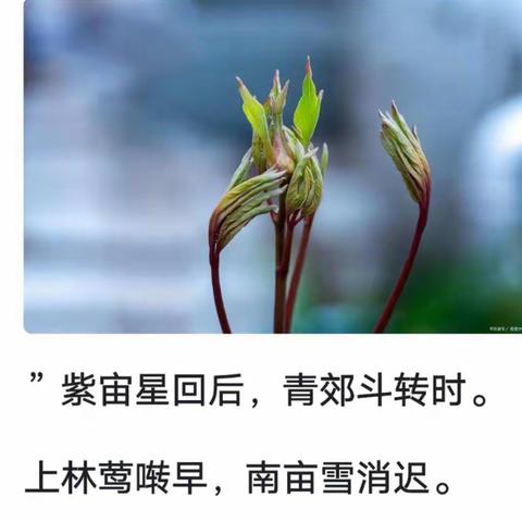 让春暖花开的生活永远伴着你