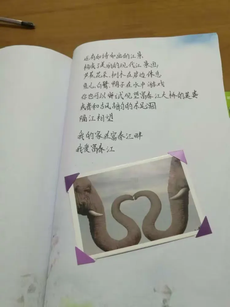 第四小组的小诗集