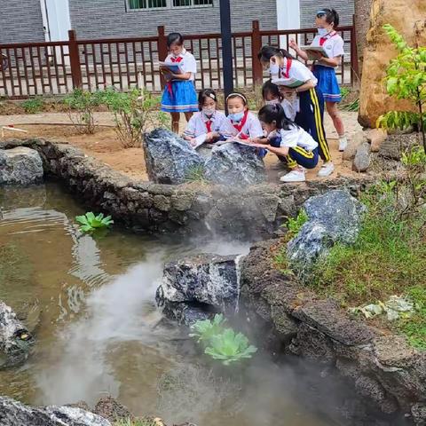 以研促教，提质增效 ——记天涯小学数学组教研