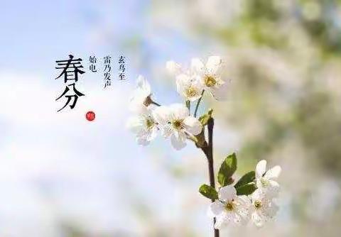 【菊胡同幼儿园•节气教育】不负好春光——菊胡同幼儿园节气教育之春分