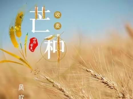 当芒种遇上高考，就是光芒万丈的青春