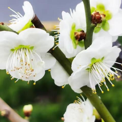 高考英语传统文化话题相关短语积累