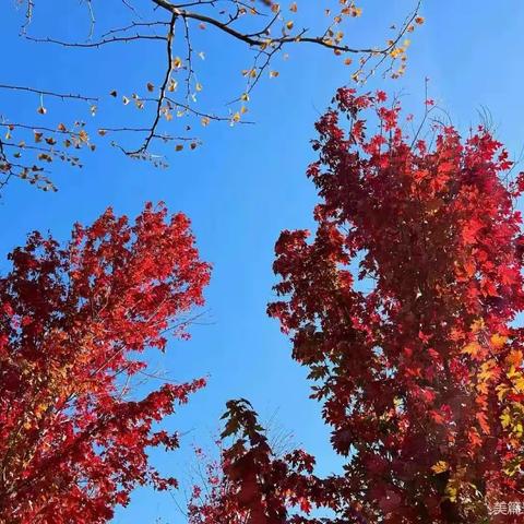 英语语法必考语法思维导图