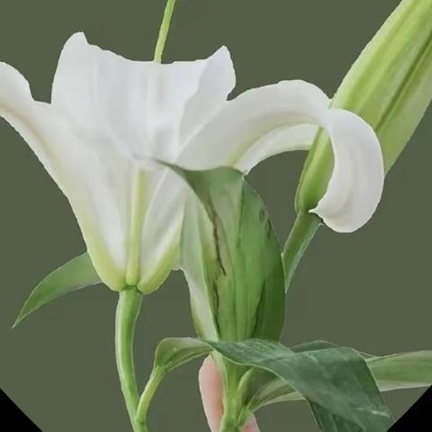 2023年高考作文答题模板小结